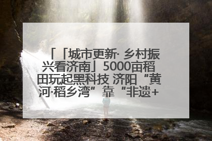 「城市更新· 乡村振兴看济南」5000亩稻田玩起黑科技 济阳“黄河·稻乡湾”靠“非遗+露营”火出圈