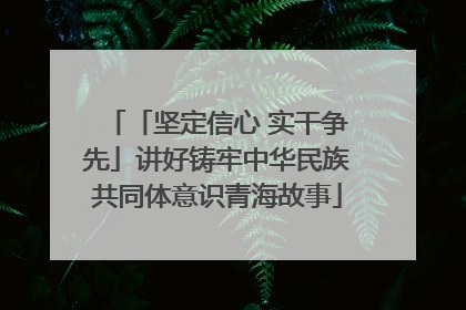 「坚定信心 实干争先」讲好铸牢中华民族共同体意识青海故事