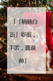 「楠楠自语」彩蛋，手雷，邋遢帅