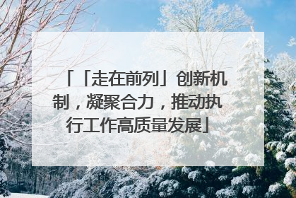 「走在前列」创新机制，凝聚合力，推动执行工作高质量发展