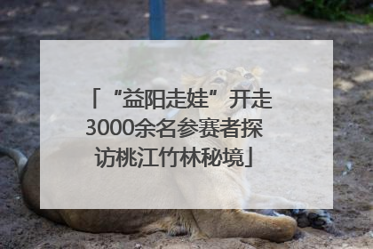 “益阳走娃”开走 3000余名参赛者探访桃江竹林秘境