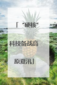 “硬核”科技备战高原夏汛