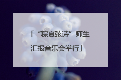 “粽夏弦诗”师生汇报音乐会举行