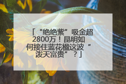 “绝绝紫”吸金超2800万！昆明如何接住蓝花楹这波“泼天富贵”？