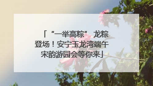“一举高粽” 龙粽登场！安宁玉龙湾端午宋韵游园会等你来