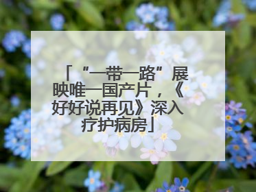 “一带一路”展映唯一国产片，《好好说再见》深入疗护病房
