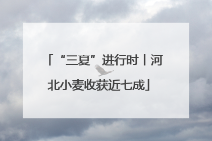 “三夏”进行时丨河北小麦收获近七成