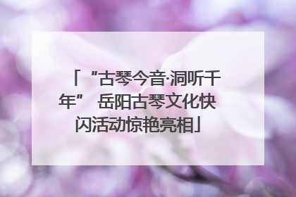 “古琴今音·洞听千年” 岳阳古琴文化快闪活动惊艳亮相