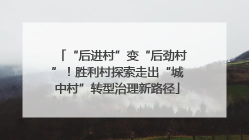 “后进村”变“后劲村”！胜利村探索走出“城中村”转型治理新路径