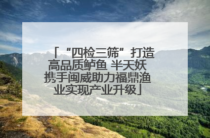 “四检三筛”打造高品质鲈鱼 半天妖携手闽威助力福鼎渔业实现产业升级