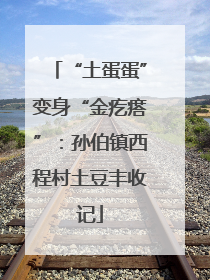 “土蛋蛋”变身“金疙瘩”：孙伯镇西程村土豆丰收记