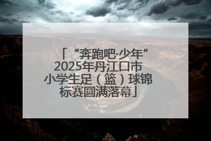 “奔跑吧·少年”2025年丹江口市小学生足（篮）球锦标赛圆满落幕