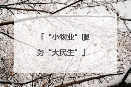 “小物业”服务“大民生”