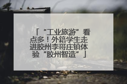 “工业旅游”看点多！外籍学生走进胶州李哥庄镇体验“胶州智造”