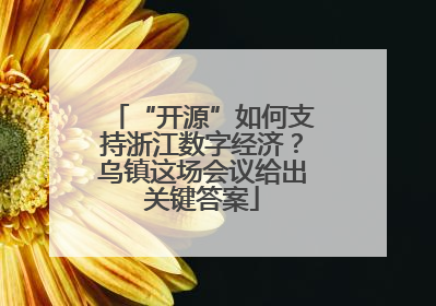 “开源”如何支持浙江数字经济？乌镇这场会议给出关键答案