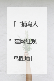 “捕鸟人”建网红观鸟胜地
