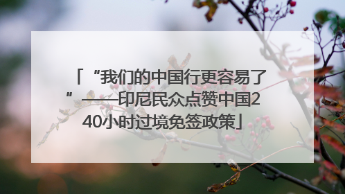 “我们的中国行更容易了”——印尼民众点赞中国240小时过境免签政策