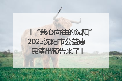 “我心向往的沈阳”2025沈阳市公益惠民演出预告来了