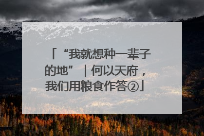 “我就想种一辈子的地”｜何以天府，我们用粮食作答②