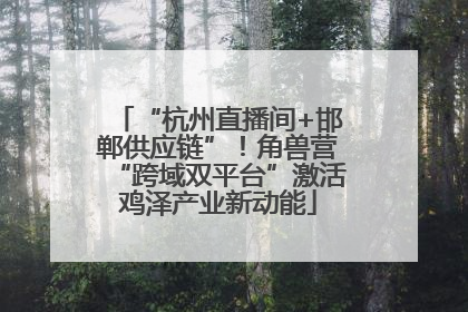 “杭州直播间+邯郸供应链”！角兽营“跨域双平台”激活鸡泽产业新动能