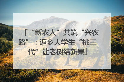 “新农人”共筑“兴农路”：返乡大学生“桃三代”让老树结新果