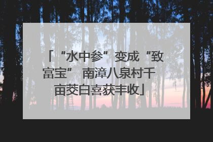 “水中参”变成“致富宝” 南漳八泉村千亩茭白喜获丰收