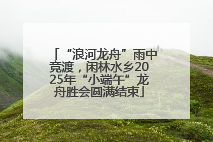 “浪河龙舟”雨中竞渡，闲林水乡2025年“小端午”龙舟胜会圆满结束