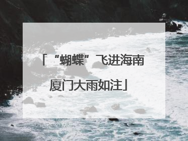 “蝴蝶”飞进海南 厦门大雨如注