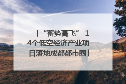 “蓄势高飞” 14个低空经济产业项目落地成都都市圈