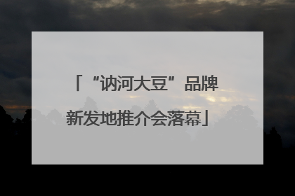 “讷河大豆”品牌新发地推介会落幕