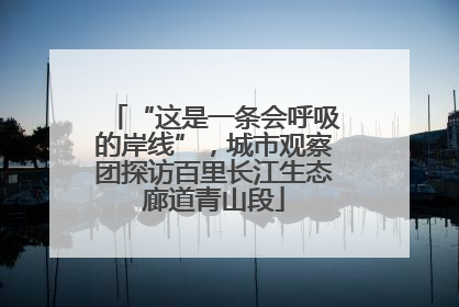 “这是一条会呼吸的岸线”，城市观察团探访百里长江生态廊道青山段
