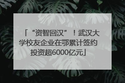 “资智回汉”！武汉大学校友企业在鄂累计签约投资超6000亿元
