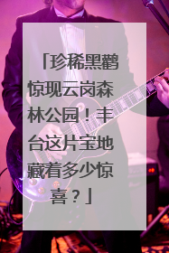 珍稀黑鹳惊现云岗森林公园！丰台这片宝地藏着多少惊喜？