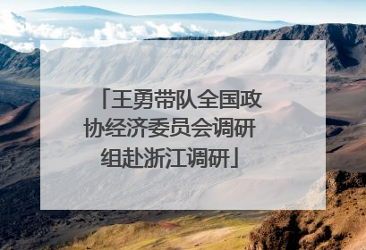 王勇带队全国政协经济委员会调研组赴浙江调研