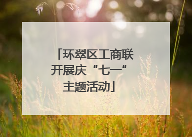环翠区工商联开展庆“七一”主题活动