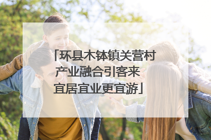 环县木钵镇关营村 产业融合引客来 宜居宜业更宜游