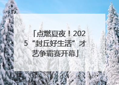 点燃夏夜！2025“封丘好生活”才艺争霸赛开幕