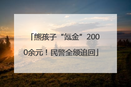 熊孩子“氪金”2000余元！民警全额追回