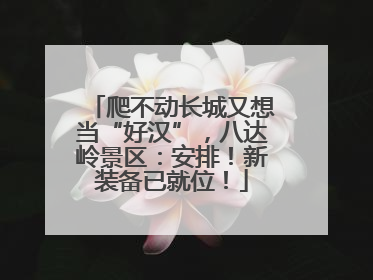 爬不动长城又想当“好汉”，八达岭景区：安排！新装备已就位！