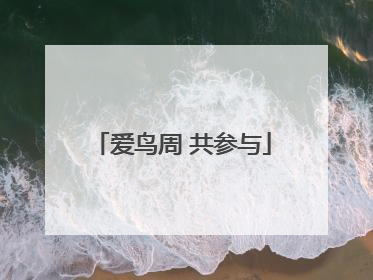 爱鸟周 共参与