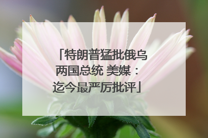 特朗普猛批俄乌两国总统 美媒：迄今最严厉批评