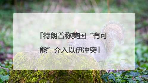 特朗普称美国“有可能”介入以伊冲突