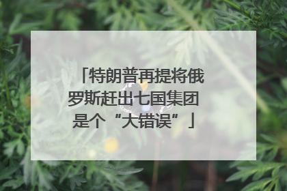 特朗普再提将俄罗斯赶出七国集团是个“大错误”
