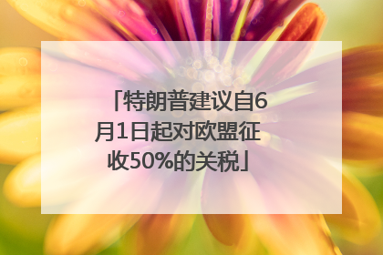特朗普建议自6月1日起对欧盟征收50%的关税