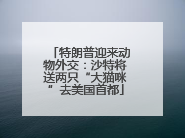特朗普迎来动物外交：沙特将送两只“大猫咪”去美国首都