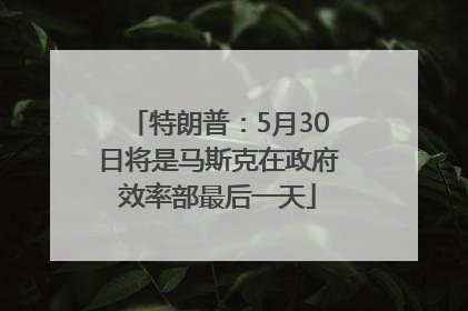 特朗普：5月30日将是马斯克在政府效率部最后一天