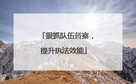 狠抓队伍督察，提升执法效能