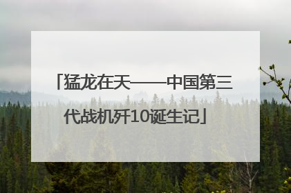 猛龙在天——中国第三代战机歼10诞生记