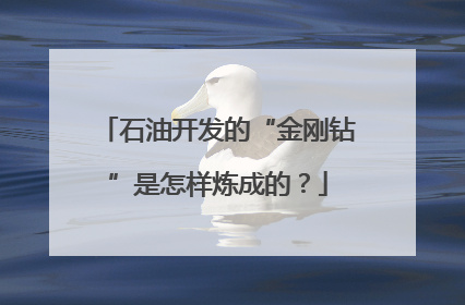 石油开发的“金刚钻”是怎样炼成的？