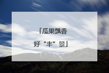 瓜果飘香 好“丰”景